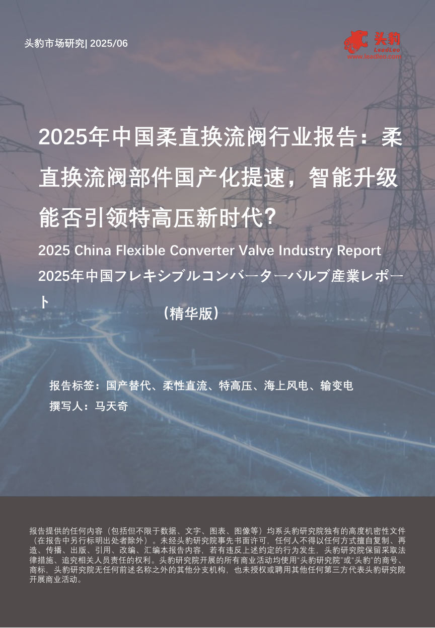 特高压|2026年代表文档截图