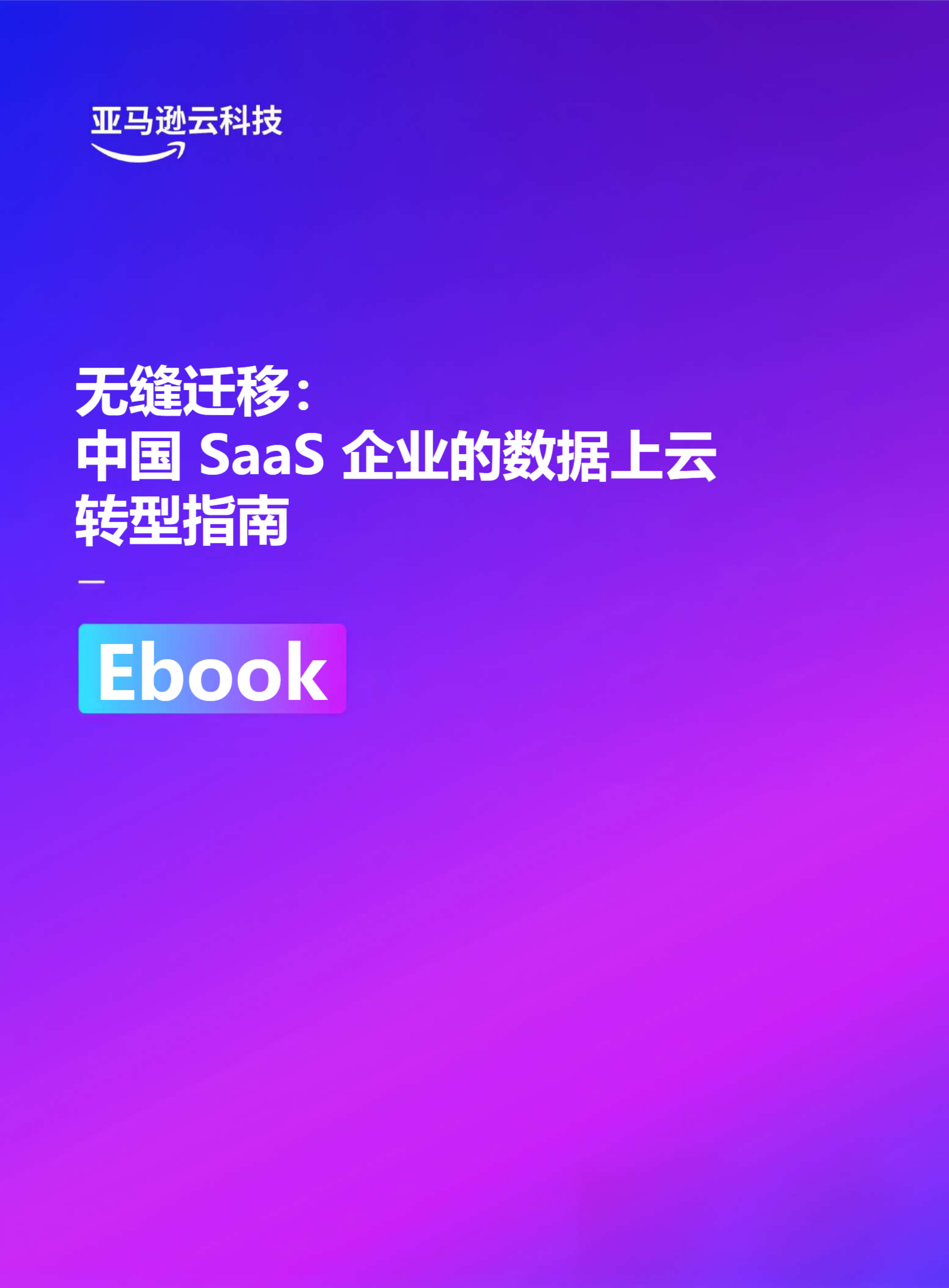 saas｜2026年代表文档截图