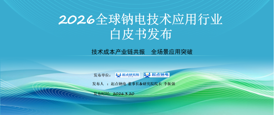 钠电池｜2026年代表文档截图