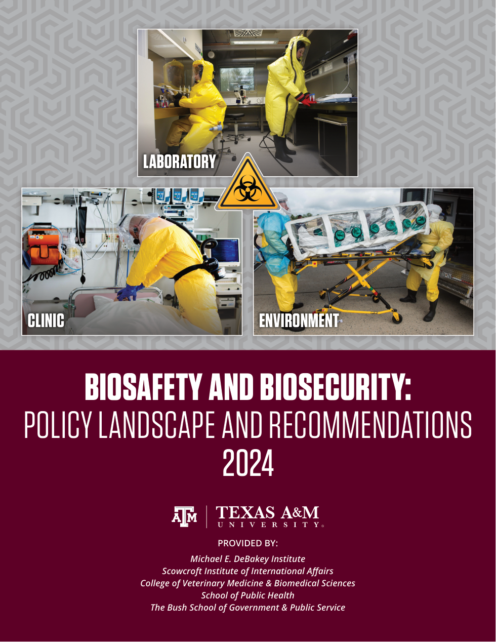 biosafety_biodefense｜2026年代表文档截图