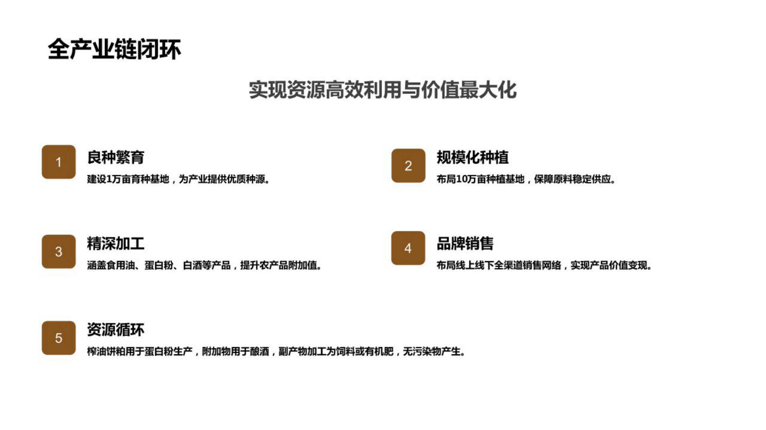宁夏裕嘉油料种植及加工项目(2026年·33页商业计划书) 商业计划书截图1